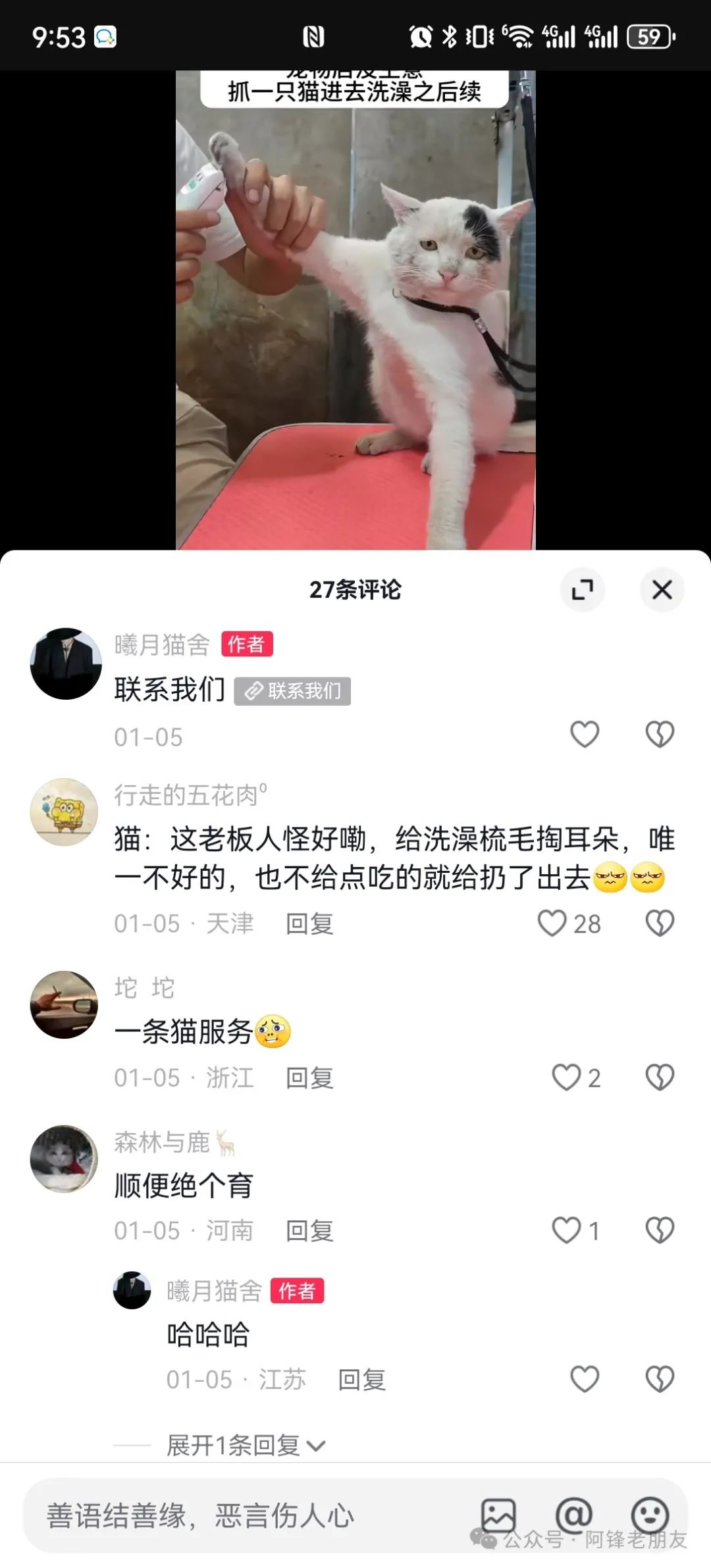 揭秘小猫咪活体抖音打粉项目，高客单价，每单利润 5000+ 认真坚持落地实操 轻松月入过万（篇一）-知行创业